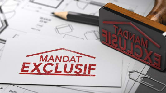 mandat immobilier