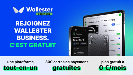 Wallester business