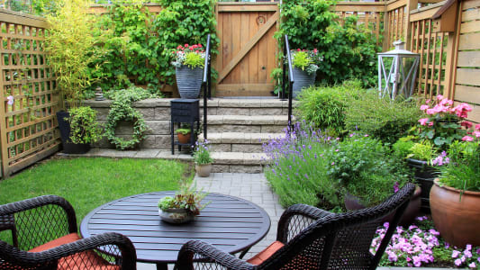 Un petit jardin.
