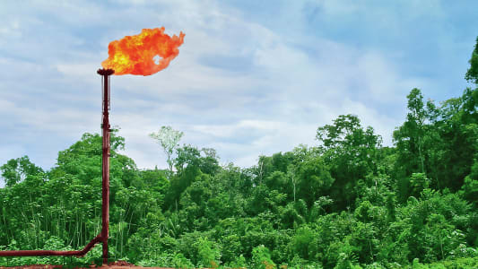 Gaz naturel inutilis pour la production et le transport par pipeline, au milieu de la fort amazonienne, sur les rives de la rivire Uruc. Coari, Amazonas, Brsil, 2020