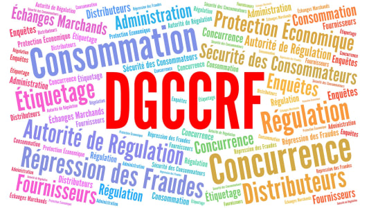 Nuage de mots sur la consommation et la rgulation en France.