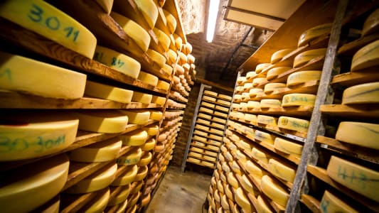 fromage morbier