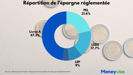 Diagramme circulaire montrant la r&Atilde;partition de l?&eacute;pargne r&eacute;glement&eacute;e fran&ccedil;aise.