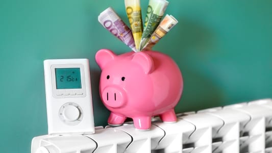 Un cochon tirelire et un radiateur.