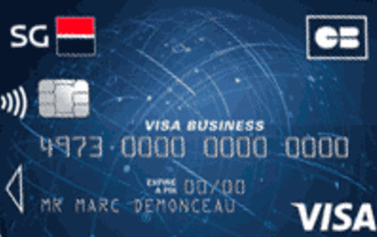 SG - Visa business