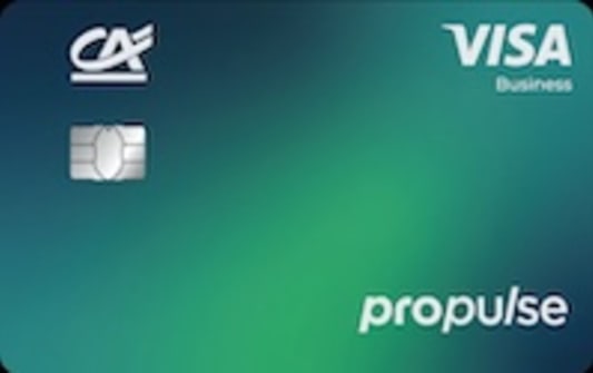 Propulse by CA - Visa Business