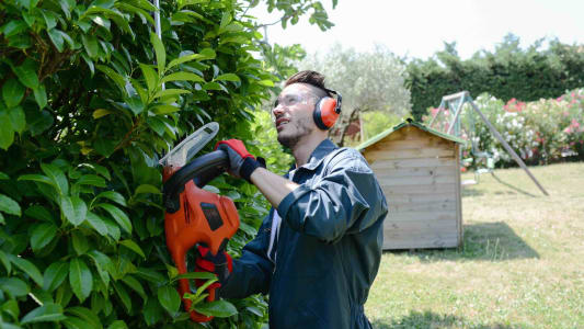 Jardinage