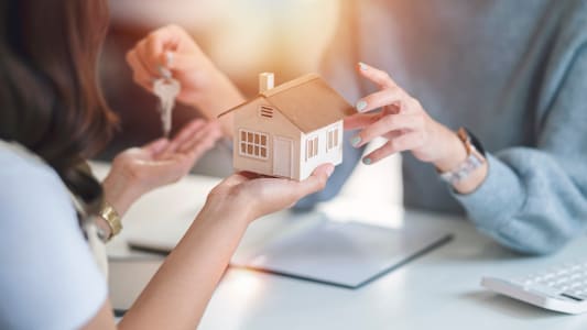 immobilier 