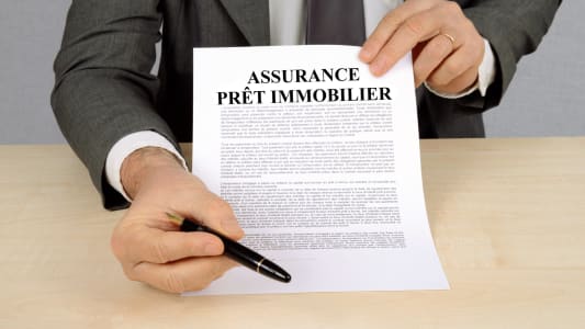 assurance emprunteur, Loi Lemoine