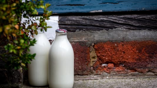 lait