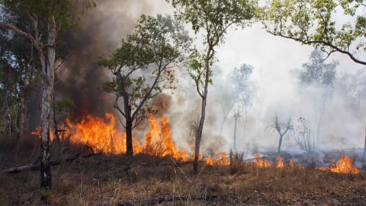Incendie fort