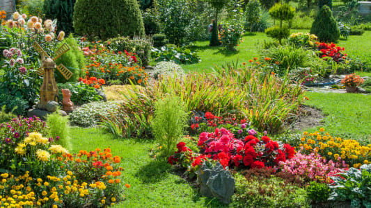 jardin maison