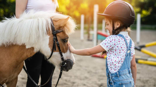 poney club