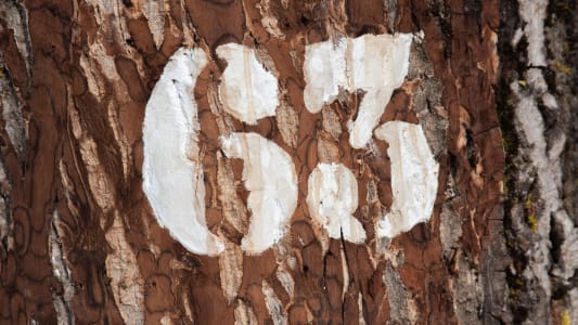 63 ans