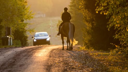Cheval route