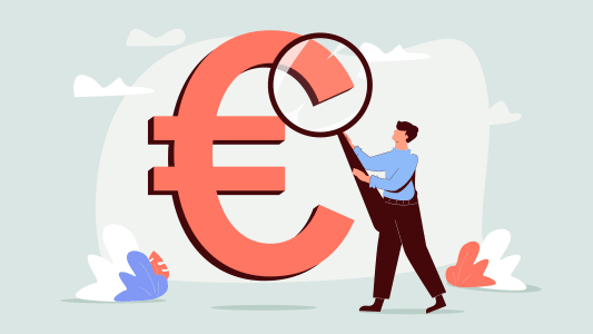 euros budget