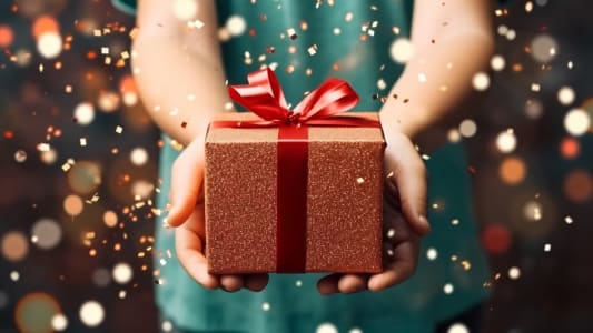 dclaration dons entre particuliers